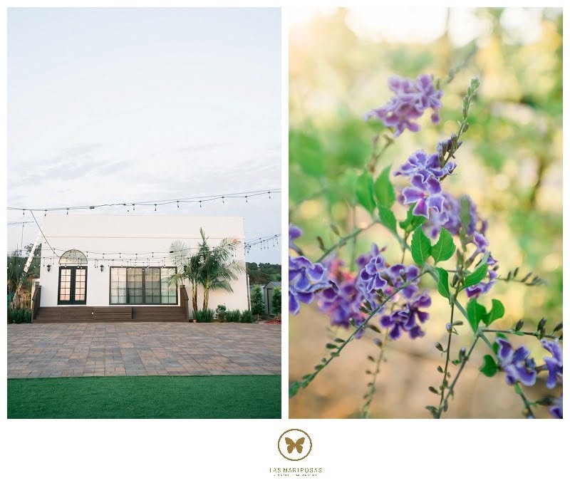 Modern indoor ballroom with courtyard and string lights