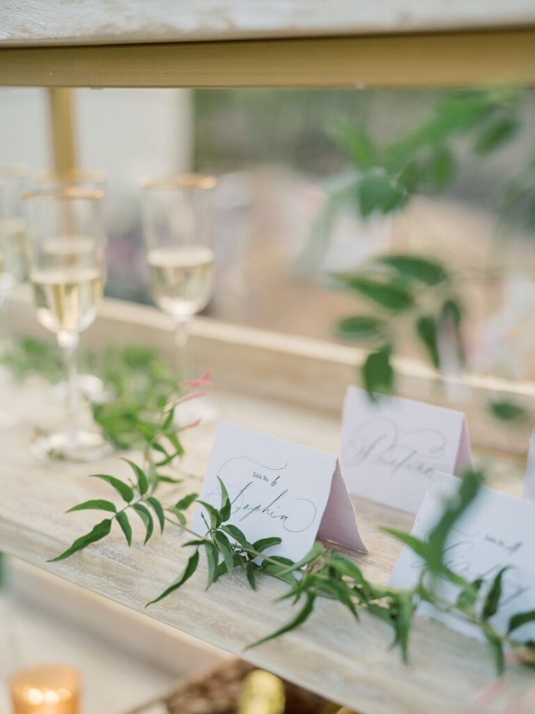 Reception styling with champagne display and escort cards